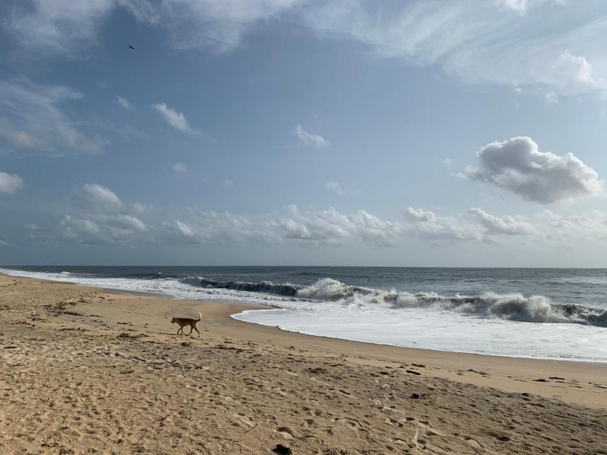 Peacock Villa Marari Beach มาราริคุลาม ภายนอก รูปภาพ